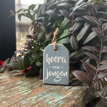 hanger label mini 6x4cm hoera een jongen baby blauw