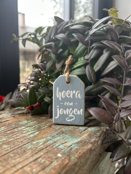 hanger label mini 6x4cm hoera een jongen baby blauw