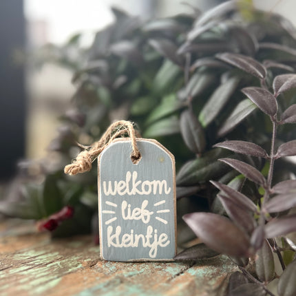 hanger label mini 6x4cm welkom lief kleintje baby blauw