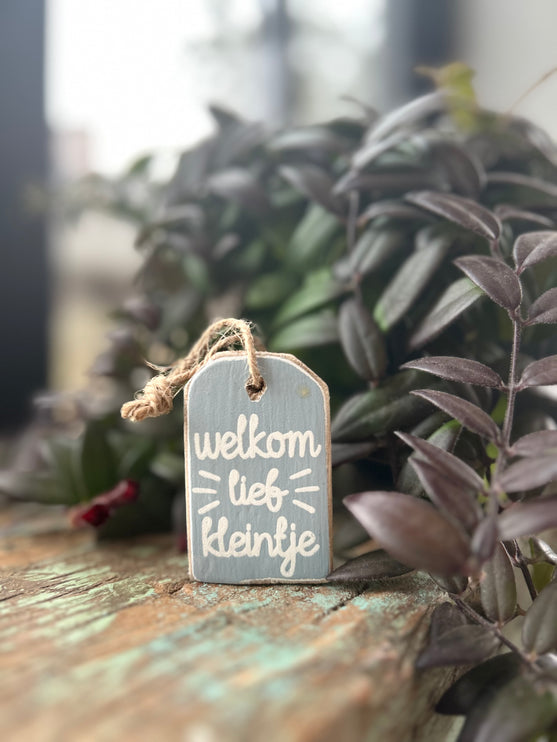 hanger label mini 6x4cm welkom lief kleintje baby blauw