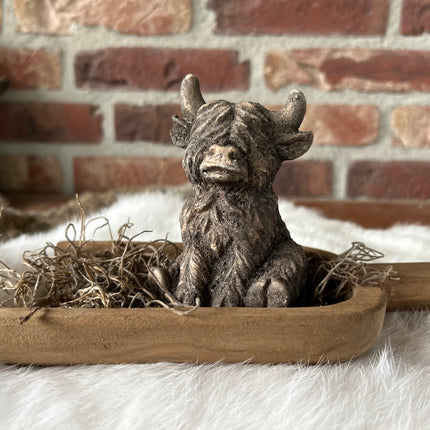 Stenen hooglander zittend op een houten schepje met Tillandsia