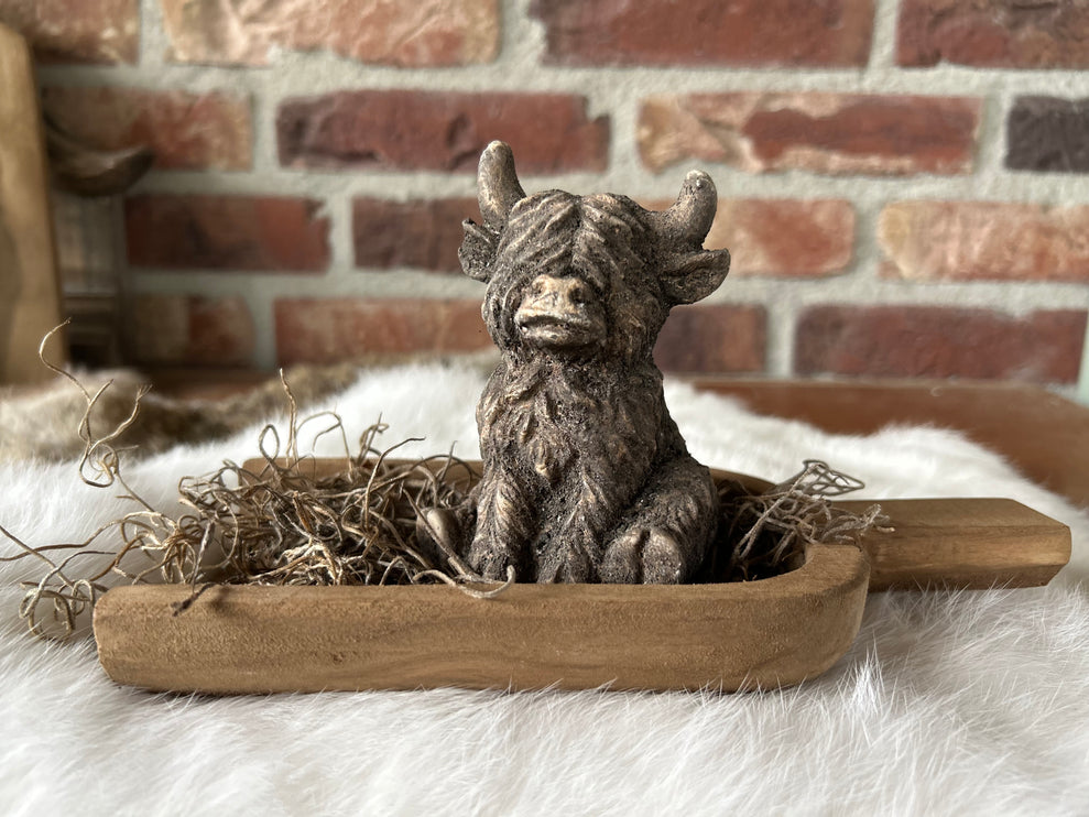 Stenen hooglander zittend op een houten schepje met Tillandsia