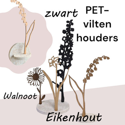 Geboortebloem Augustus Klaproos