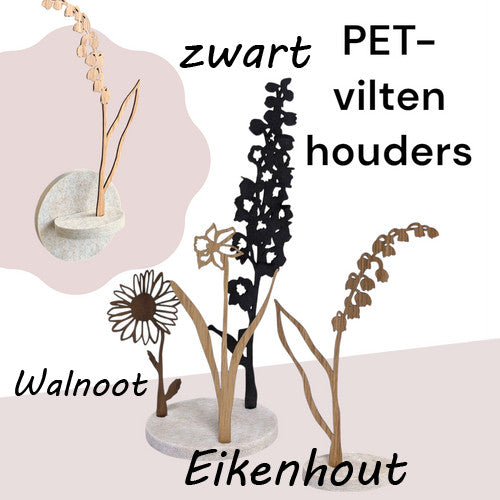 Geboortebloem Augustus Klaproos
