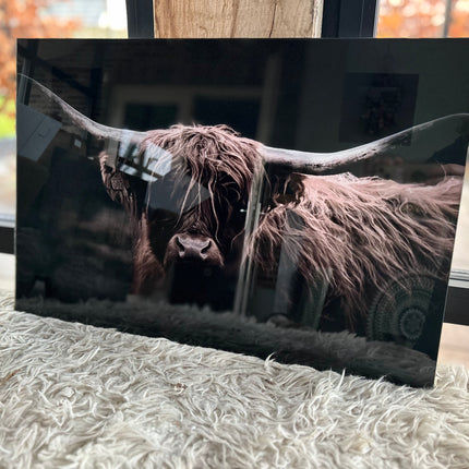 Glasschilderij schotse hooglander donker