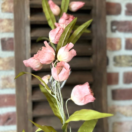 Zijden Bloem Campanula