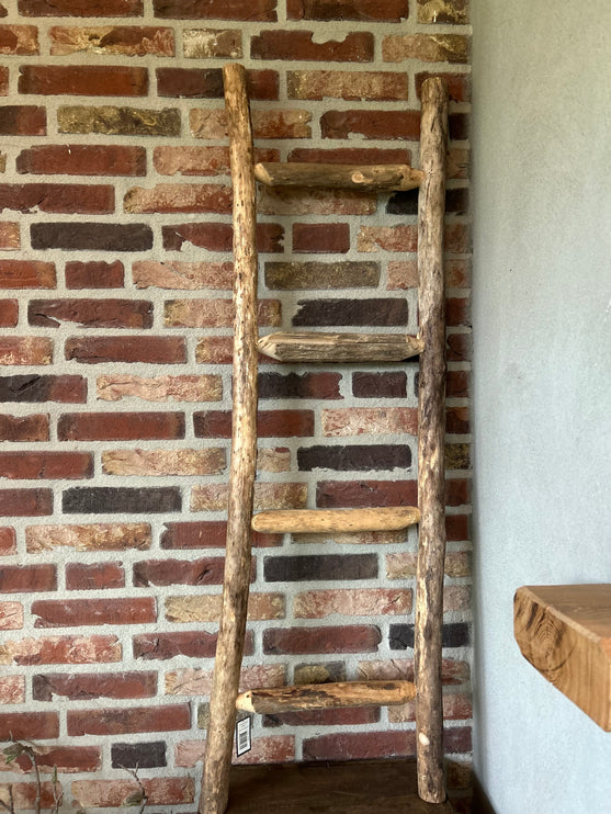Decoratieve Ladder