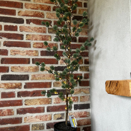 Led Kerstboom Ceder