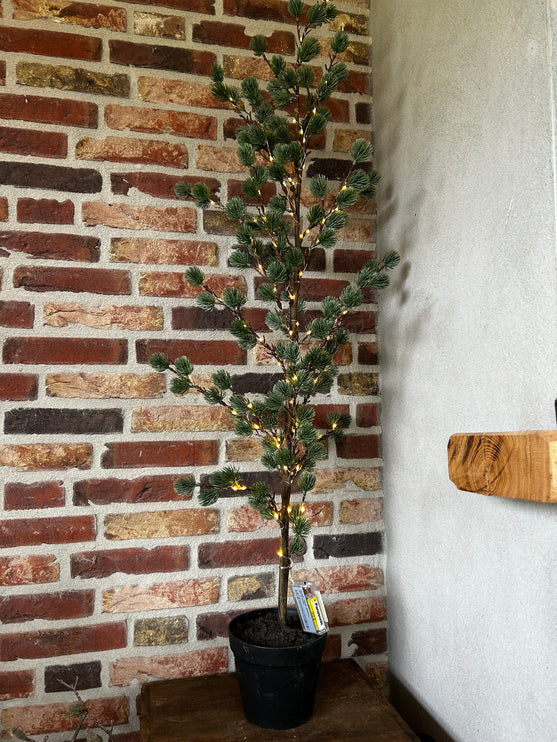 Led Kerstboom Ceder