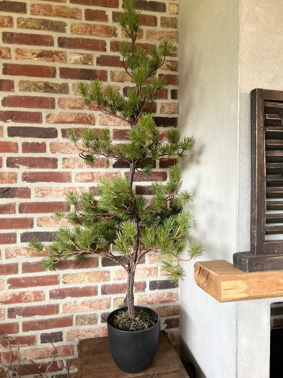 Kunst Boom Austrian Pine