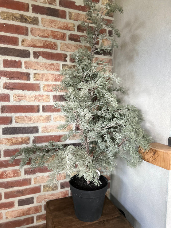 Kunst Larix Boom