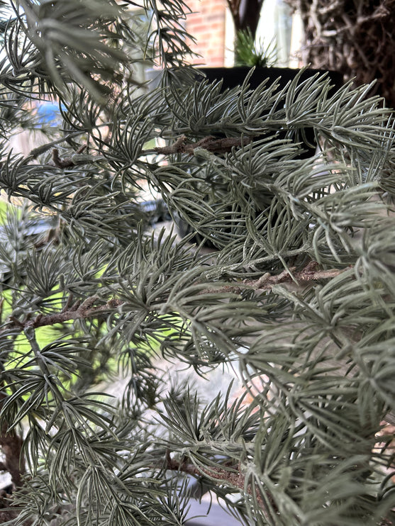 Kunst Larix Boom