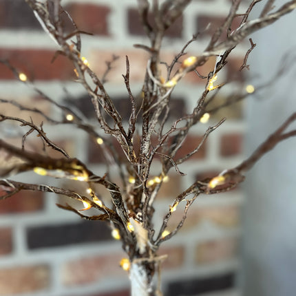 Boompje Petula met verlichting