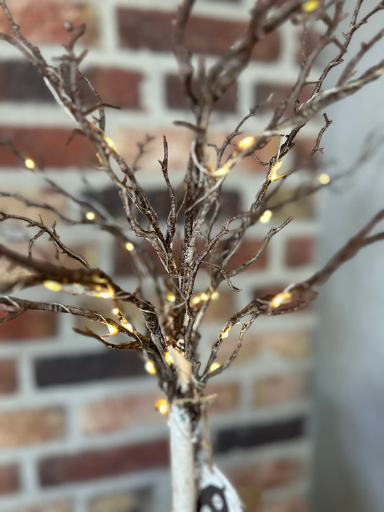 Boompje Petula met verlichting