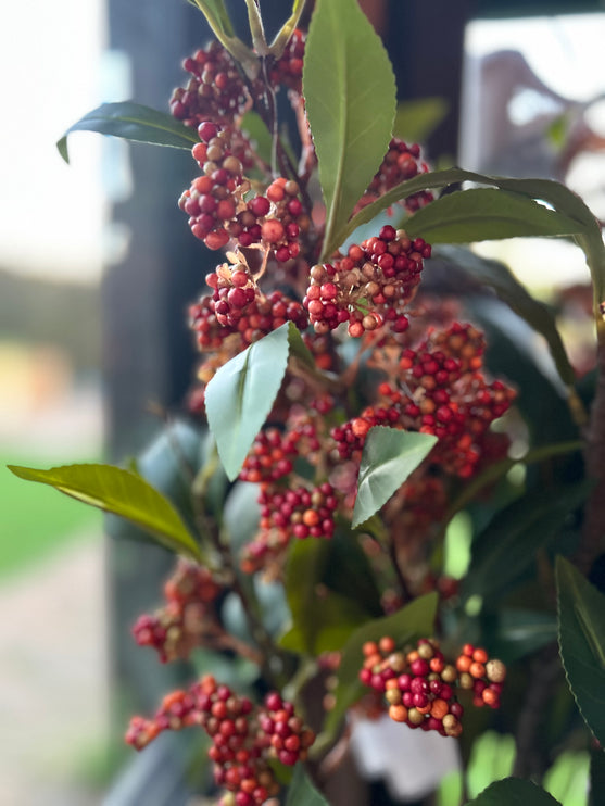 Kunsttak Viburnum