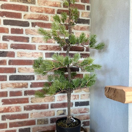 Kunstboompje Pine Tree