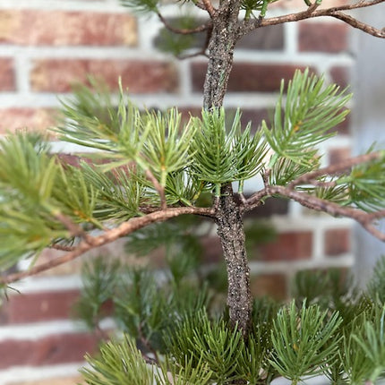 Kunstboompje Pine Tree