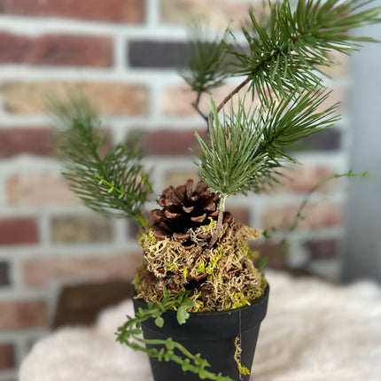 Kunstplantje Den maat M