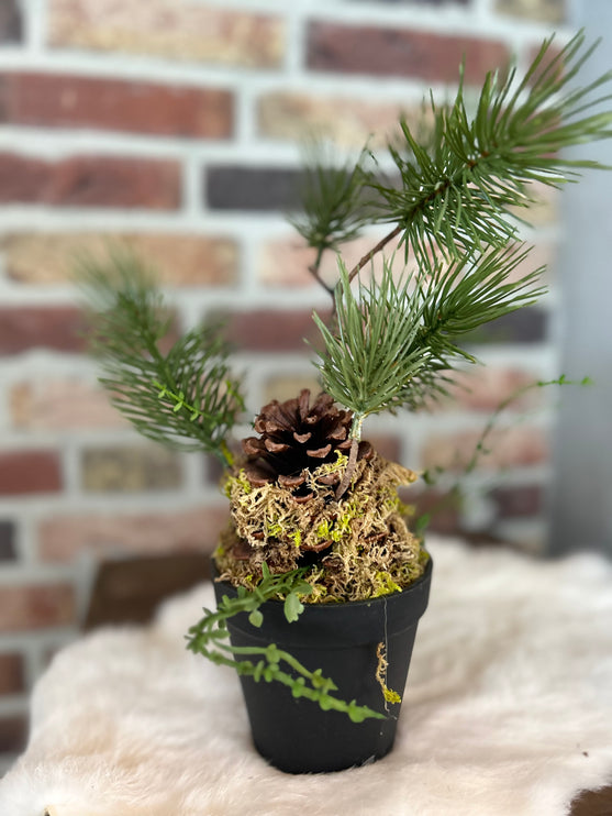 Kunstplantje Den maat M