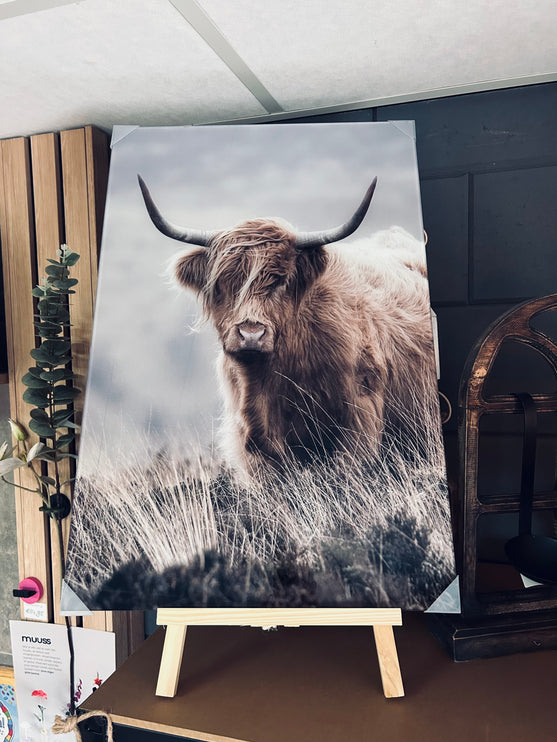 Glasschilderij schotse hooglander staand