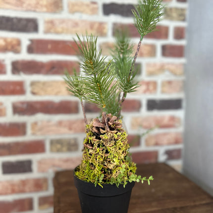 Kunstplantje Den maat L