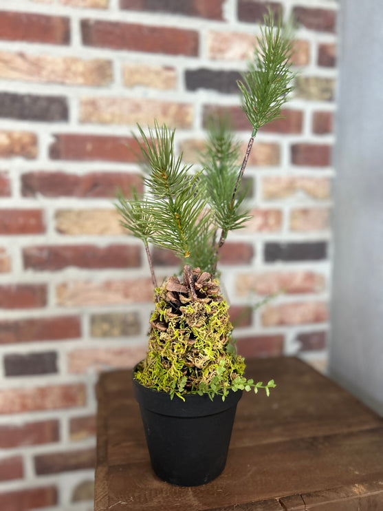 Kunstplantje Den maat L