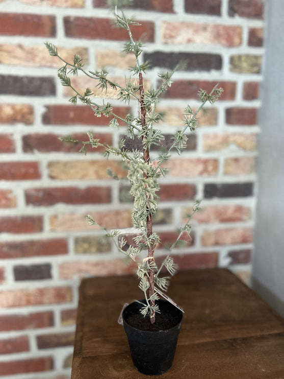Kerstboompje Larix met verlichting