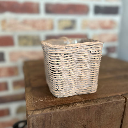 Stenen Pot Rotan