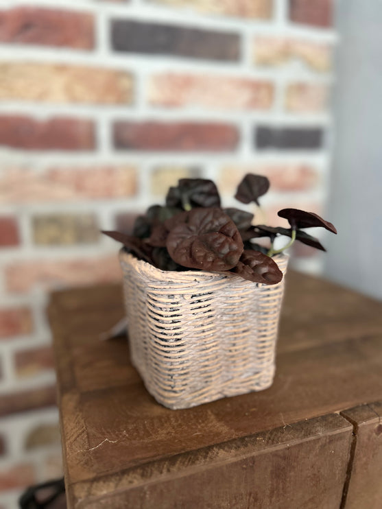 Kunstplantje Begonia Bush