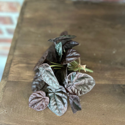 Kunstplantje Begonia Bush