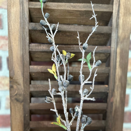 Tak Eucalyptus Bes