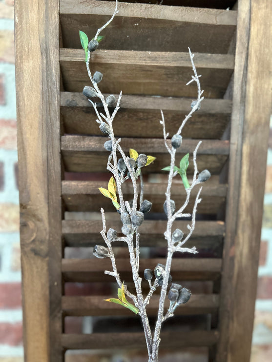Tak Eucalyptus Bes