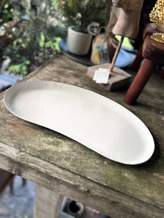 Kidney Tray Wit S