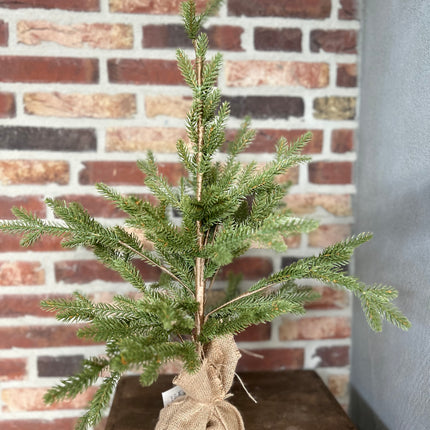 Kerstboompje Picea