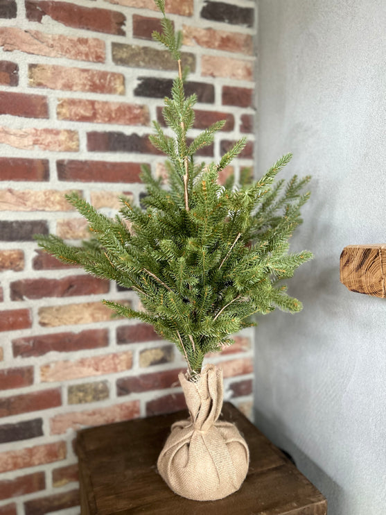 Kerstboom Picea in jute