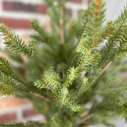 Kerstboom Picea in jute