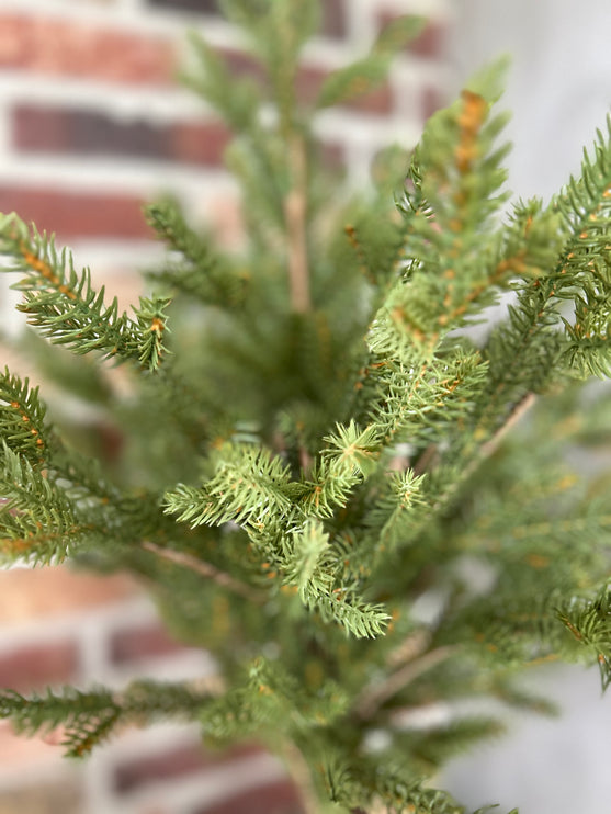Kerstboom Picea in jute