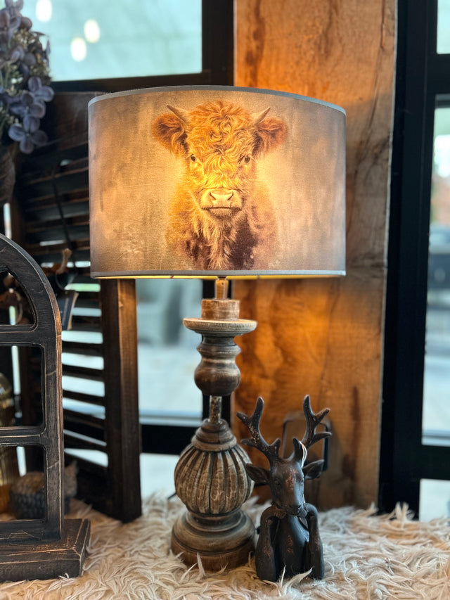 <em><strong>Shop hier voor onze nieuwste producten!!</strong></em>