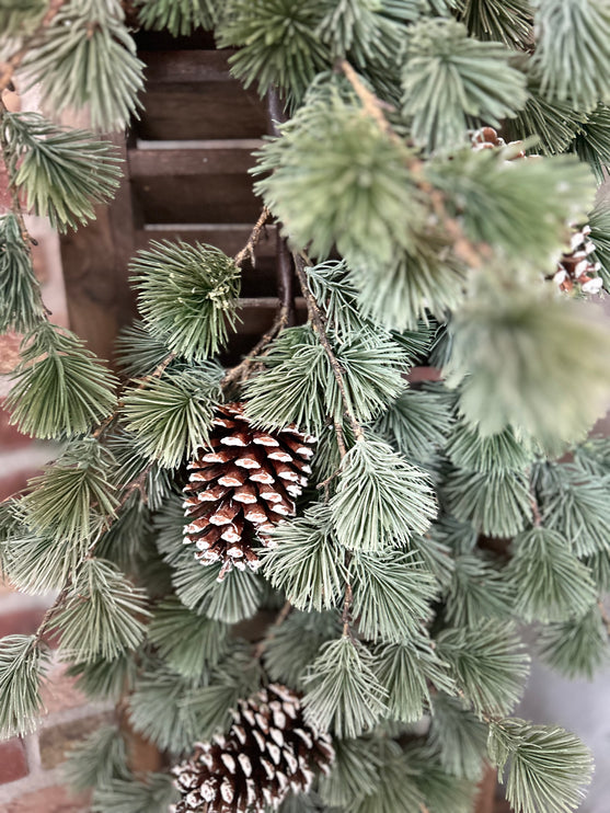 Festoen Pinus Green