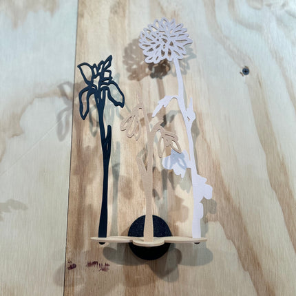 Geboortebloem (zonder houder) September Aster