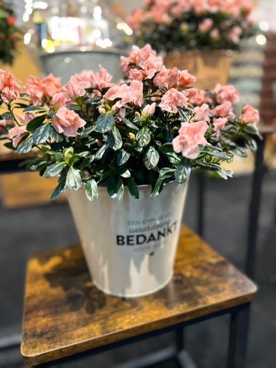 Zinken Cadeau Emmer - Bedankt