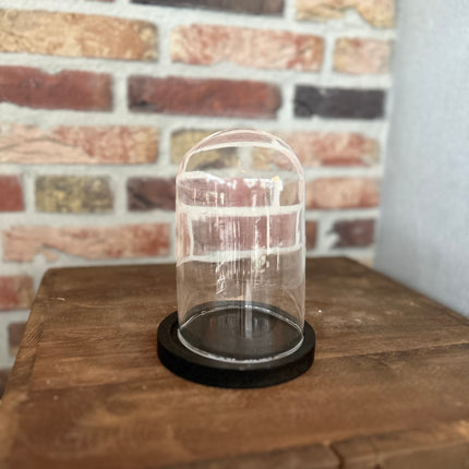 Glazen stolp op zwart S
