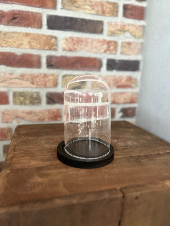 Glazen stolp op zwart S