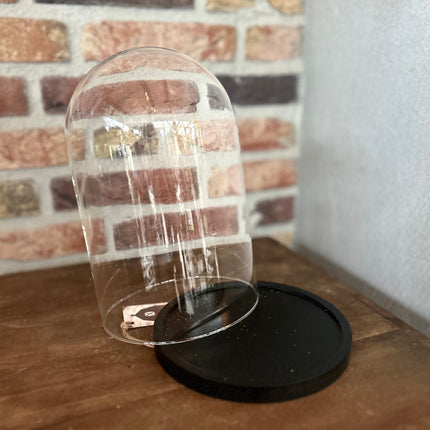 Glazen Stolp op Zwart M