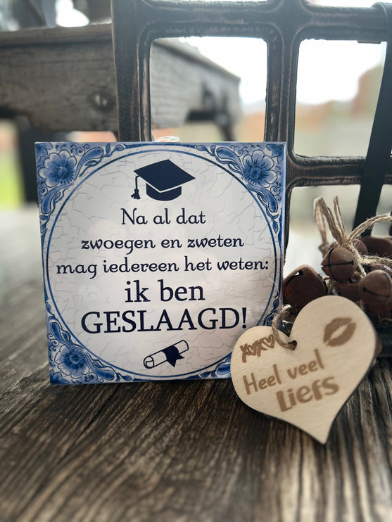 Tegel Delfts Blauw - Zwoegen en zweten/geslaagd