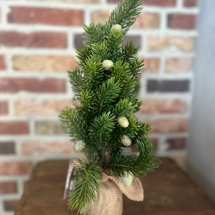 Kerstboom jute Abies