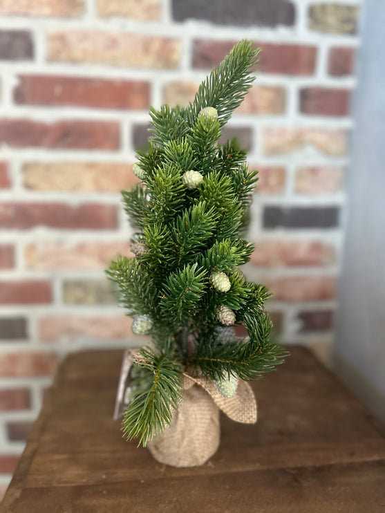 Kerstboom jute Abies