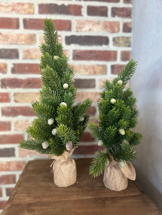 Kerstboom Jute Abies M