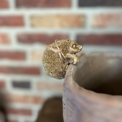 Hang-egeltje Goud