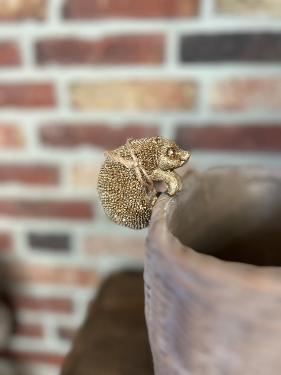Hang-egeltje Goud